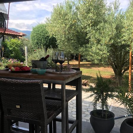 Terra Holiday Homes 아스프로발타 외부 사진